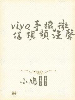vivo手机微信视频没声音了如何恢复