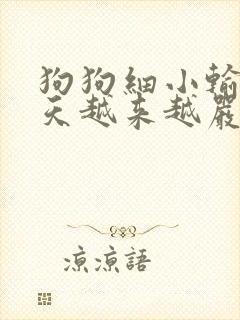 狗狗细小输液三天越来越严重