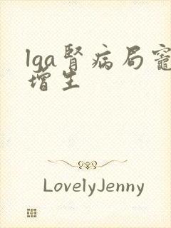 lga肾病局灶增生