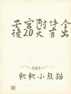 子宫附件全切术后20天有出血