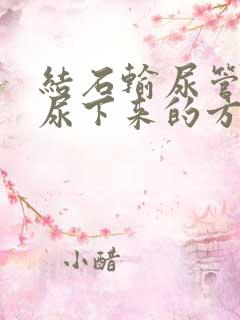 结石输尿管末端尿下来的方法