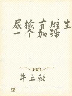 尿检有维生素c一个加号