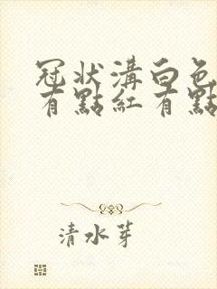 冠状沟白色污垢有点红有点痒怎么治