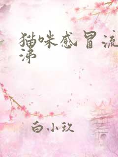 猫咪感冒流浓鼻涕