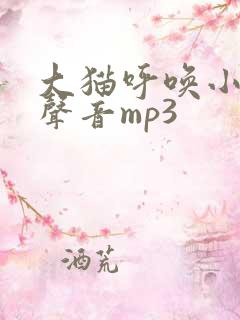 大猫呼唤小猫的声音mp3