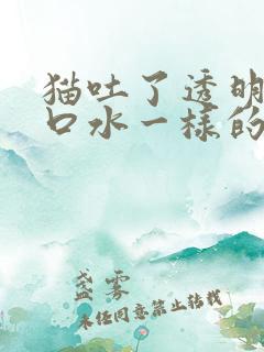 猫吐了透明的像口水一样的