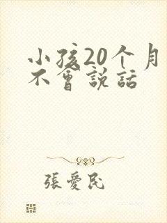 小孩20个月还不会说话