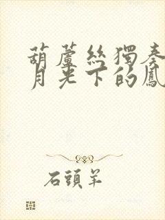 葫芦丝独奏曲 月光下的凤尾竹降b调