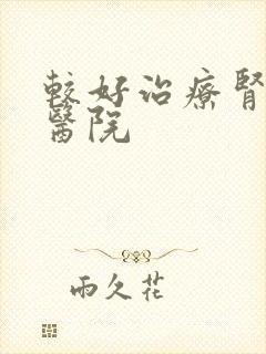 较好治疗肾病的医院