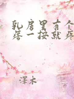 乳房里有个小疙瘩一按就疼