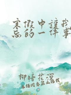 寒假中让我最难忘的一件事600字