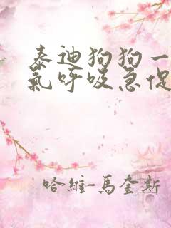 泰迪狗狗一直喘气呼吸急促