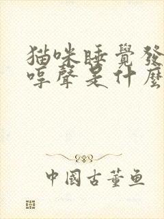 猫咪睡觉发出哼哼声是什么意思