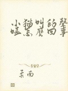 小猫叫的声音沙哑怎么回事