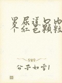 男尿道口内侧了个红色颗粒