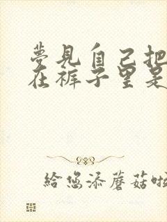 梦见自己把屎拉在裤子里是什么预兆