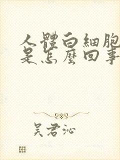 人体白细胞增多是怎么回事