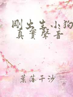 刚出生小狗叫声 真实声音