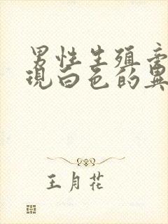 男性生殖旁边出现白色的异物是什么情况