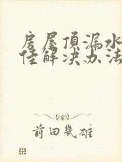 房屋顶漏水的最佳解决办法