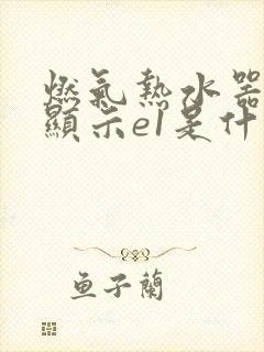 燃气热水器故障显示e1是什么原因