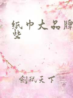 纸巾大品牌有哪些