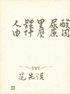 人体里尿酸高是由什么原因引起的