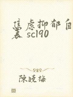 焦虑抑郁自评量表 scl90