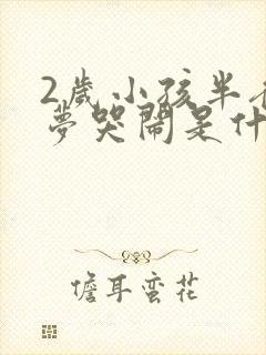 2岁小孩半夜做梦哭闹是什么原因