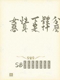 女性下体分泌物恶臭是什么原因?