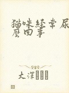 猫咪经常尿闭怎么回事