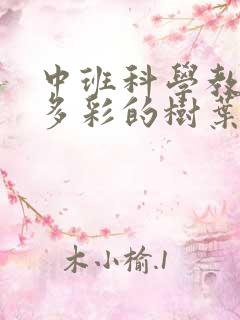 中班科学教案:多彩的树叶