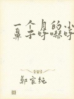 一个月的小宝宝鼻子呼哧呼哧的咋办