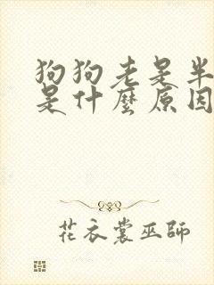 狗狗老是半夜叫是什么原因