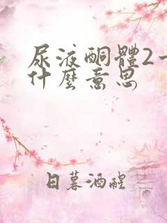 尿液酮体2十是什么意思