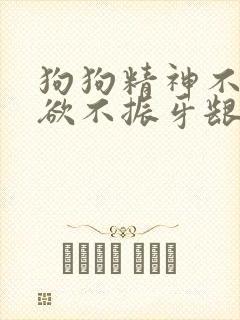 狗狗精神不好食欲不振牙龈发白