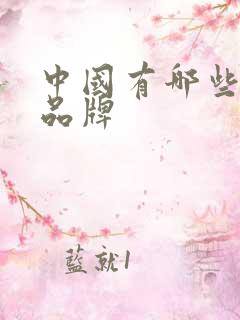 中国有哪些纸巾品牌