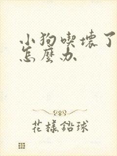 小狗吃坏了吐了怎么办