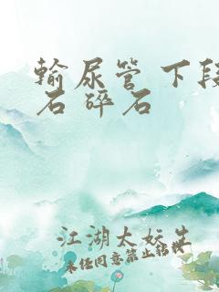 输尿管 下段结石 碎石