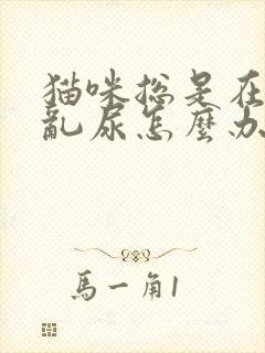 猫咪总是在床上乱尿怎么办