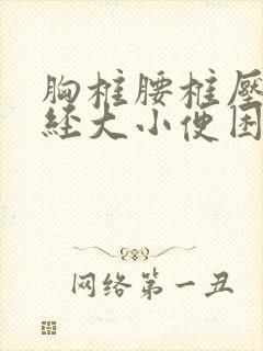 胸椎腰椎压迫神经大小便困难