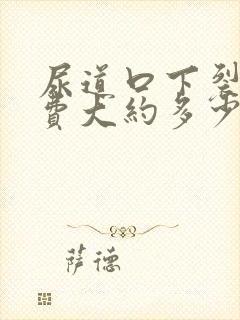 尿道口下裂手术费大约多少钱