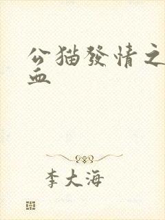 公猫发情之后尿血