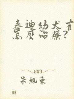 泰迪幼犬有泪痕怎么治疗?