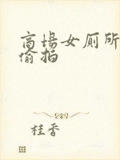 商场女厕所视频偷拍