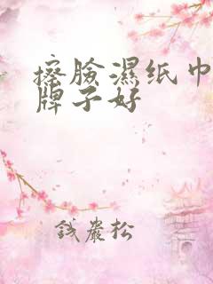 擦脸湿纸巾哪个牌子好