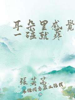 耳朵里感觉肿了一碰就疼