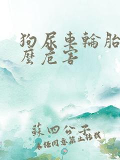 狗尿车轮胎有什么危害