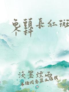 龟头长红斑挂哪个科