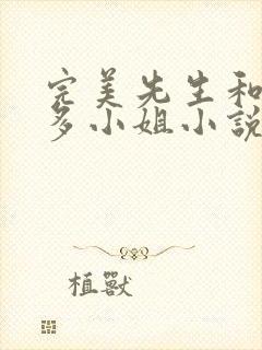 完美先生和差不多小姐小说